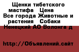 Щенки тибетского мастифа › Цена ­ 80 - Все города Животные и растения » Собаки   . Ненецкий АО,Волонга д.